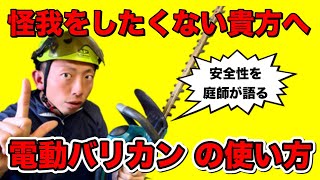 【電動バリカンの安全な使い方 怪我防止！】電動の両刃バリカンの使い方、心得を庭師が惜しみなく解説実演！（カイヅカイブキ 玉散らし剪定） [upl. by Glennie]