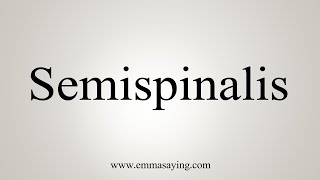 How To Say Semispinalis [upl. by Adnilec]