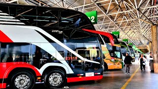 GIGANTES do Tietê Belíssimos ônibus em São Paulo [upl. by Sorilda]