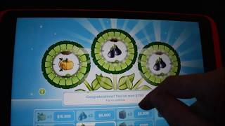 How To Plant The Simoleon Sprout For Beginners  The Sims Freeplay [upl. by Justino543]