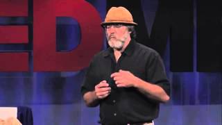 Paul Stamets on Cordyceps Benefits [upl. by Ytsim]