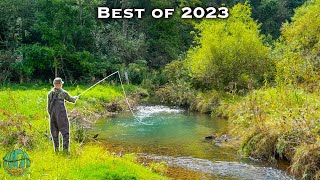 THE BEST FLY FISHING  TROUT FISHING VIDEO Best of Compilation  2023 [upl. by Onfroi849]