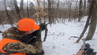 Tracking Deer In Massachusetts Public Land Deer Hunting Muzzleloader Season 2022 [upl. by Gant488]