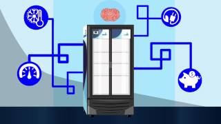 CIF Control Inteligente de Funciones de los Refrigeradores Imbera [upl. by Ocram]