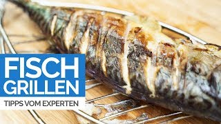 FISCH GRILLEN  So gelingt der Fisch vom Grill Tipps vom Grillexperten Michael Quandt [upl. by Kress]