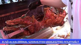 Első alkalommal szerveztek vadgasztro fesztivált [upl. by Grantham]