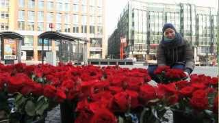 welovehhde und clubkinder eV präsentieren 1000 rote Rosen auf dem Gänsemarkt Hamburg [upl. by Shuman76]