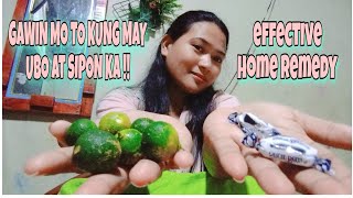 HOME REMEDY para sa ubo  review  KALAMANSI  SNOWBEAR [upl. by Llecram]