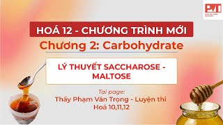 HÓA 12CHƯƠNG 2 LÝ THUYẾT SACCHAROSE MALTOSE [upl. by Romine]