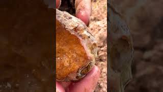 Finding Natural Carnelians Gemstone At The Mountain crystals gemstone quartzite quartz mining [upl. by Eniortna]