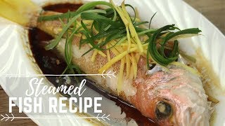 Steamed Fish Recipe  Chinese Inspired Recipes [upl. by Oivalf]