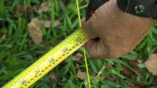 How to Level the Ground for a Shed [upl. by Bovill]