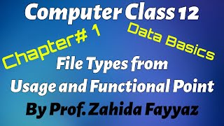 Computer Class 12 Chapter1 Lecture3 Part A File Types for Usage and Functional Point of View [upl. by Giralda519]