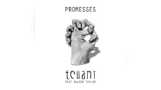 Tchami  Promesses feat Kaleem Taylor Preditah Remix [upl. by Airdnna854]