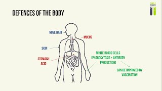 IGCSE Biology Revision  Part 12  Pathogens Transmissible Diseases amp Preventing Its Spread [upl. by Naig]