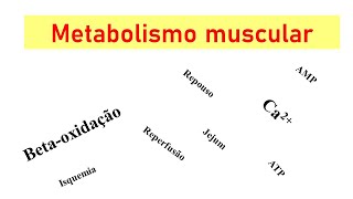 Metabolismo energético da fibra muscular repouso contração jejum e estado alimentado [upl. by Knighton266]