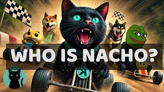 We Made a Crypto token for his Cat Nacho the Cat KRC20 [upl. by Aurelio731]