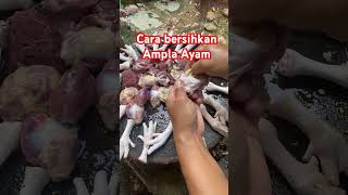 Cara bersihkan ampla ayam ayampotong [upl. by Vivienne345]