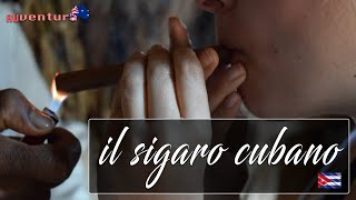 Il vero SIGARO CUBANO come si produce  4K [upl. by Spanjian]