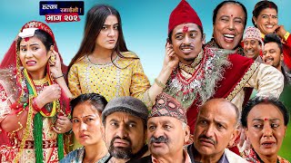 Halka Ramailo  Episode 202  29 October  2023  Balchhi Dhurbe Raju Master  Nepali Comedy [upl. by Brelje]