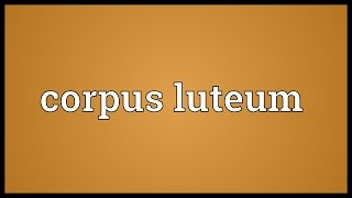 Corpus luteum Meaning [upl. by Farand]