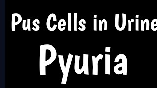 Pus Cells in Urine  What Is Pus Cell amp Pyuria  Causes Symptoms Normal Range Pus Cells In Urine [upl. by Analla]