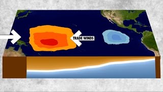 El Niño and La Niña Explained [upl. by Muslim]