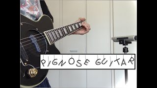 pignose guitar [upl. by Erin]