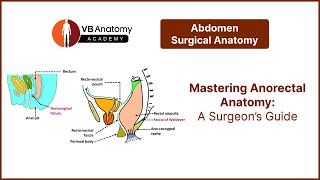 Mastering Anorectal Anatomy A Surgeon’s Guide [upl. by Kearney]