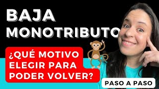 BAJA MONOTRIBUTO 🔥​ Causas y Consecuencias  PASO a PASO ​AFIP [upl. by Lenci475]