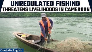 Cameroonian Fishers Decry Chinese Trawlers Overfishing Under Local Flags Ignoring Regulations [upl. by Clovis]