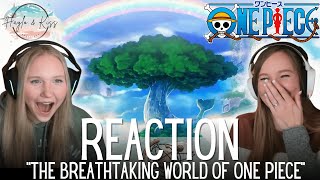 The Breathtaking World Of  ONE PIECE  Reaction 💕 [upl. by Itsirk620]