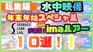 【水中映像】シーバスルアーラボが選ぶ！アイマルアー１０選！買うならコレだ！！【アムズデザイン】 [upl. by Driskill]