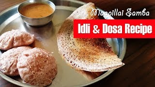 How to Cook Mappillai Samba Rice in Tamil  Mappillai Samba Rice [upl. by Adlay]