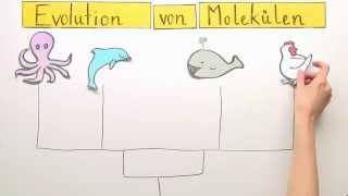 Die Evolution der Moleküle  Biologie  Evolution [upl. by Aisul]