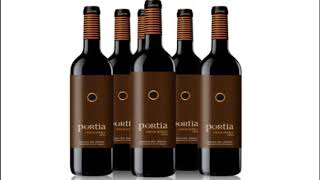 Portia Roble 2016 Vino Tinto do Ribera del Duero [upl. by Fletcher]