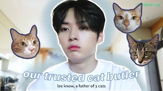 lee know is a cat butler soonie doongie and doris dad [upl. by Nnednarb49]