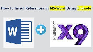 How to Create Number Equation in Word and Cross Refer Equation Number Only [upl. by Okia]