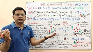 Antihyperlipidemic Drugs Part 04  HMG CoA Reductase Inhibitors  Statins Mechanism of Action [upl. by Ennyleuqcaj208]