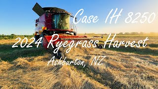 2024 Ryegrass Harvest with Case IH 8250 at Ashburton NZ [upl. by Arul918]