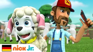 PAW Patrol  Die Patrouille muss das fehlende Schaf finden  Nick Jr [upl. by Brion]