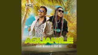 Aguanile Remix [upl. by Agustin632]