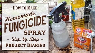 ★ How to Make Cheap Homemade Fungicide Complete Step by Step Guide [upl. by Yumuk875]