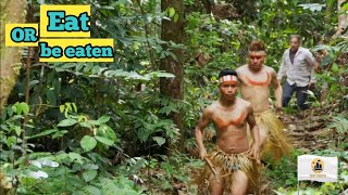 Documentary The Matses tribes in the Amazon Part 2 [upl. by Ches]