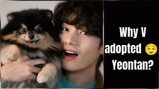 Why V adopted yeontan  Tania 🥳 and Kim taehung 💜 v loves yeontan very much [upl. by Curren]