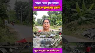 বিশ্বের সব থেকে বড় দুর্গা তৈরি বন্ধ হতেই মানুষের ক্ষোভ। ranaghat viralvideo [upl. by Lael561]