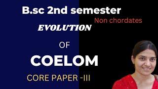 Evolution of coelom BSc 1st yearEvolution of coelom and metamerism BSc zoology gnb zoology [upl. by Lindsey]