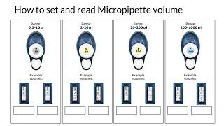 How to Set and Read Micropipette Volume [upl. by Einittirb]