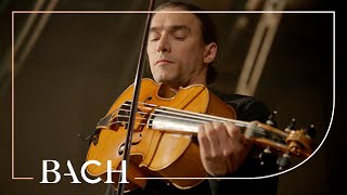 Bach  Cello Suite no 6 in D major BWV 1012  Malov  Netherlands Bach Society [upl. by Saphra]