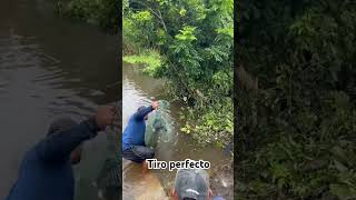 Tiro perfecto fishing [upl. by Airdnal260]